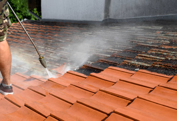 Best Pressure Washing Services for Businesses  in Rogers, MN