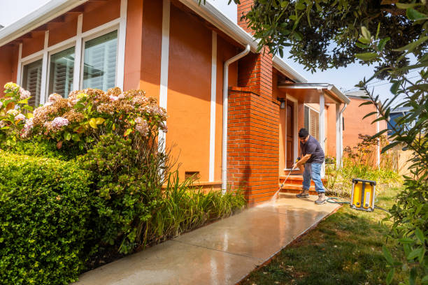 Best Roof Pressure Washing  in Rogers, MN