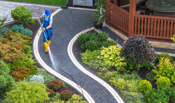 Best Commercial Pressure Washing  in Rogers, MN