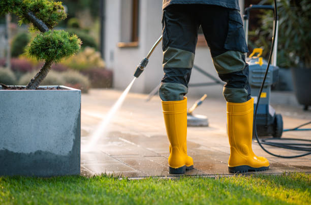 Best Roof Pressure Washing  in Rogers, MN